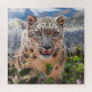 Recherche de grands chats puzzles Léopard