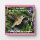 Recherche de colibri Beau