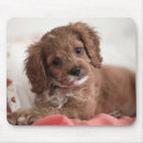 Recherche de ruby tapis souris Cavalier