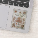Zoek naar kwallen stickers Dieren
