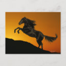 Recherche de silhouette de cheval posters Noir