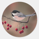 Recherche de brindille autocollants Succursale