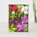 Recherche de orchidée de cattleya vœux cartes Orchidées