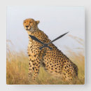 Zoek naar kenya posters klokken Safari
