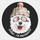Recherche de spitz autocollants Chien mignon