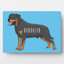 Zoek naar rottweiler fotoplaat Hond