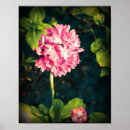 Zoek naar primula posters Roze