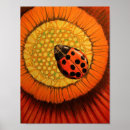 Recherche de insecte de dame posters Fleur