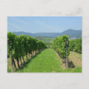 Recherche de vins cartes postales France