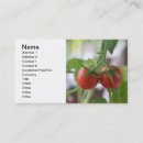 Recherche de macro cartes visite Frais