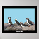 Recherche de arctica posters Macareux de l'atlantique