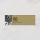 Recherche de chat mini cartes visite Animal