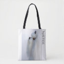 Recherche de maltais sacs Chien