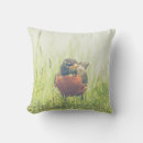 Zoek naar robin bird kussens Wild
