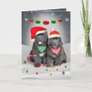 Recherche de newfies vœux cartes Terre neuve