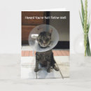 Zoek naar oliver kaarten Kat