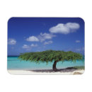 Recherche de plage des caraïbes magnets Mer
