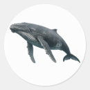 Recherche de mammifères autocollants Pour tous