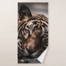 Recherche de image de tigre Animal