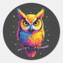 Recherche de hibou nocturne autocollants Oiseau