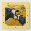 Zoek naar cow klokken Kalf