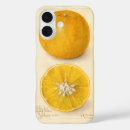 Recherche de beaux arts iphone coques Nature