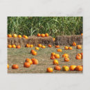Zoek naar mais briefkaarten Herfst