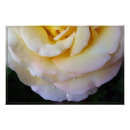 Zoek naar bladen posters Tuin