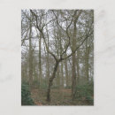 Recherche de nature postcards cartes postales Beau