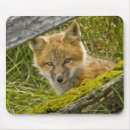 Recherche de barrière tapis souris Nature
