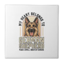 Recherche de chien de berger carreaux Animal