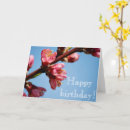 Recherche de cherry blossom anniversaire cartes Fleurs
