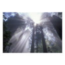Recherche de faisceau lumineux posters Lumière