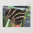 Recherche de beau papillon cartes postales Nature