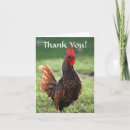 Recherche de poulet drôle vœux cartes Mignon