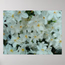 Recherche de ampoule posters Nature