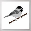 Recherche de oiseaux chanteurs posters Pour eux