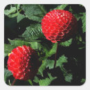 Recherche de pompon autocollants Pour tous