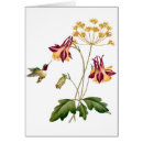 Recherche de salutation vide Floral