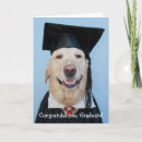 Recherche de funny graduation vœux cartes Drôle