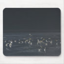 Recherche de héron bleu tapis souris Pour tous