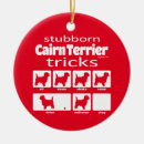 Zoek naar cairn terrier ornamenten Doodsbang
