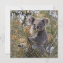 Recherche de marsupiaux vœux cartes Marsupial