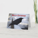 Zoek naar merels posters Sneeuw