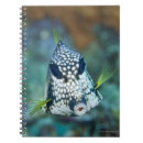 Zoek naar onderwater notitieboeken Vis