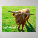 Recherche de animaux de ferme posters Bovin