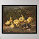 Zoek naar eend baby posters Vintage