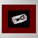 Recherche de animaux uniques posters Animal