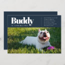 Recherche de de chien anniversaire invitations Chiot