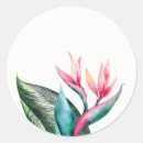 Zoek naar paradijsvogels stickers Waterverf